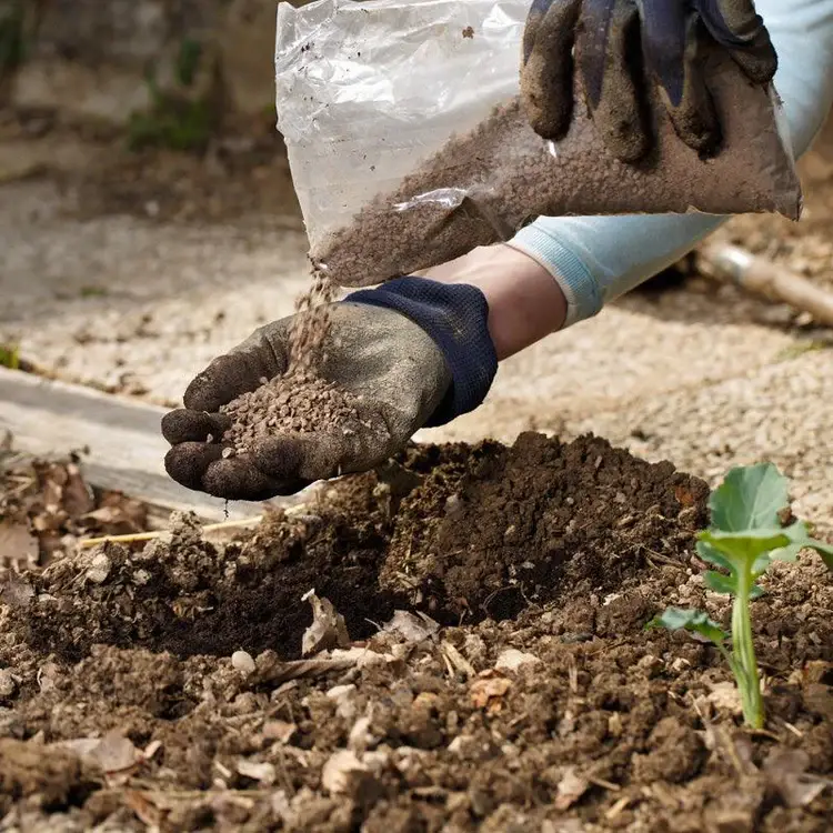 Soil being prepared by hand